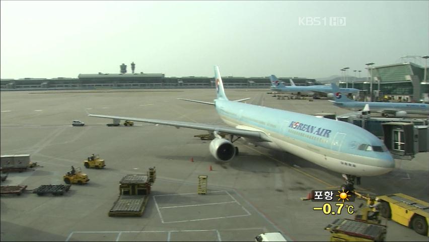 정부, 카이로발 한국행 항공기 증편