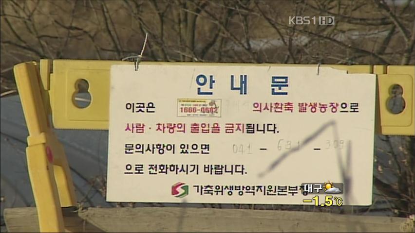 전국 최대 축산지 충남 홍성 구제역 발생