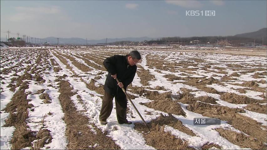 “농지연금이 진짜 효자!” 가입 급증