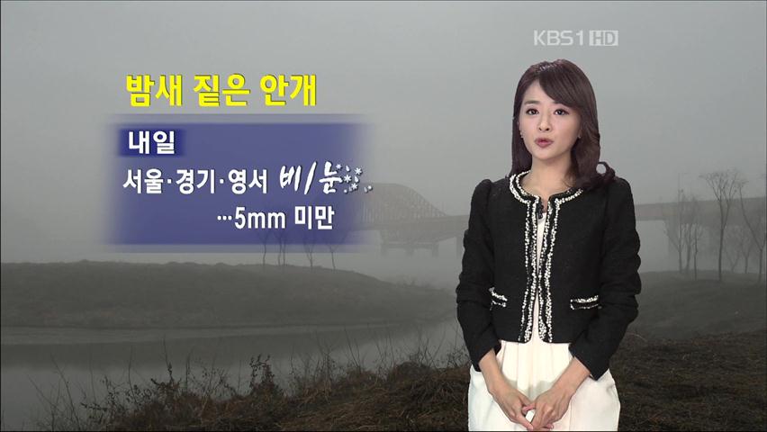 밤새 짙은 안개…내일 서울·경기·영서 비나 눈