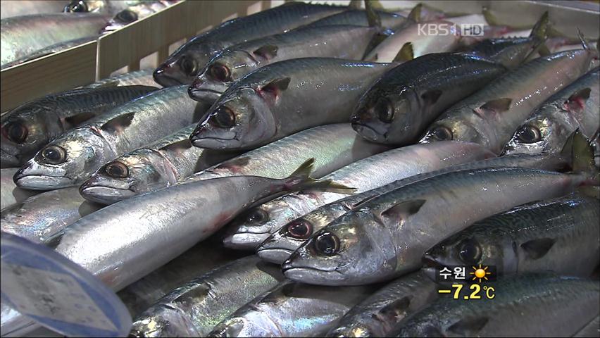 고등어, ‘저질’ 반입 우려