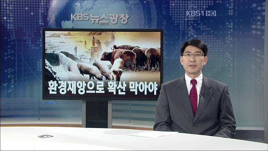 [뉴스해설] 구제역, 환경 재앙으로 확산 막아야