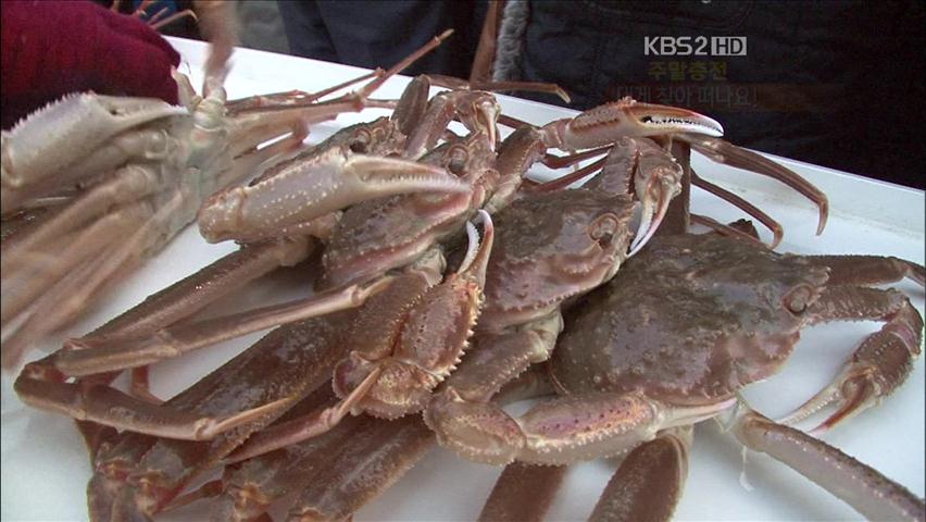 [주말충전] 대게처럼 속이 꽉 찬 영덕 여행