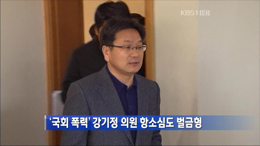 ‘국회 폭력’ 강기정 의원, 항소심도 벌금형