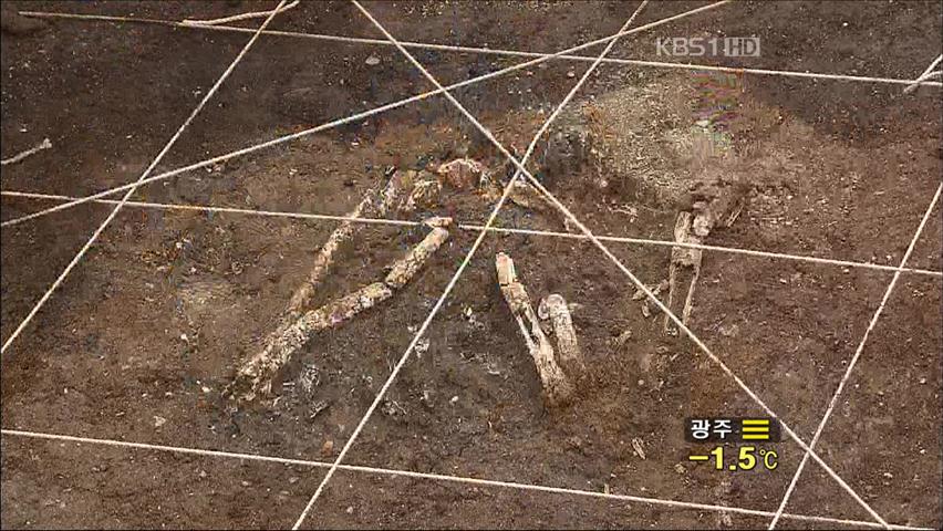 가덕도서 8천년 전 ‘신석기 무덤터’ 발견