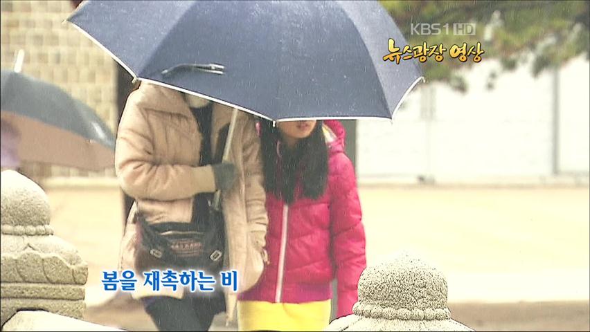 [뉴스광장 영상] 봄을 재촉하는 비