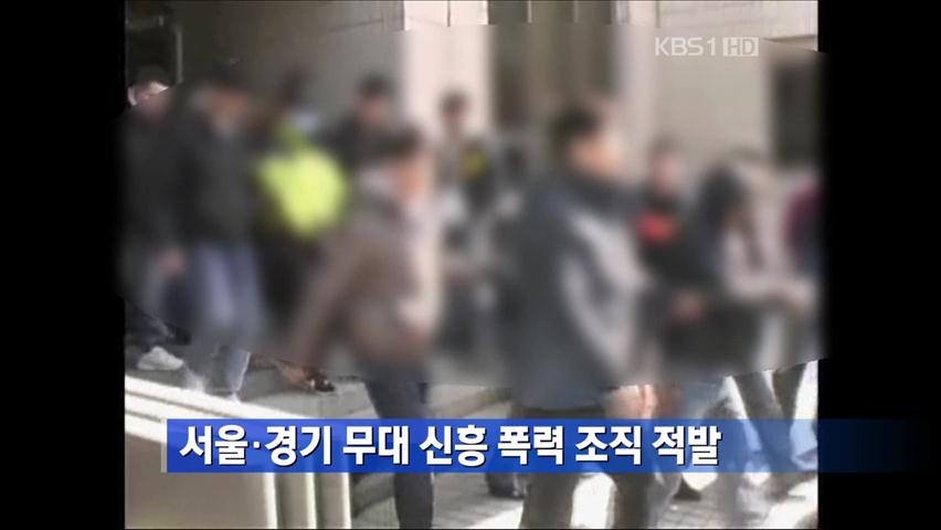 서울·경기 무대 신흥 폭력 조직 적발