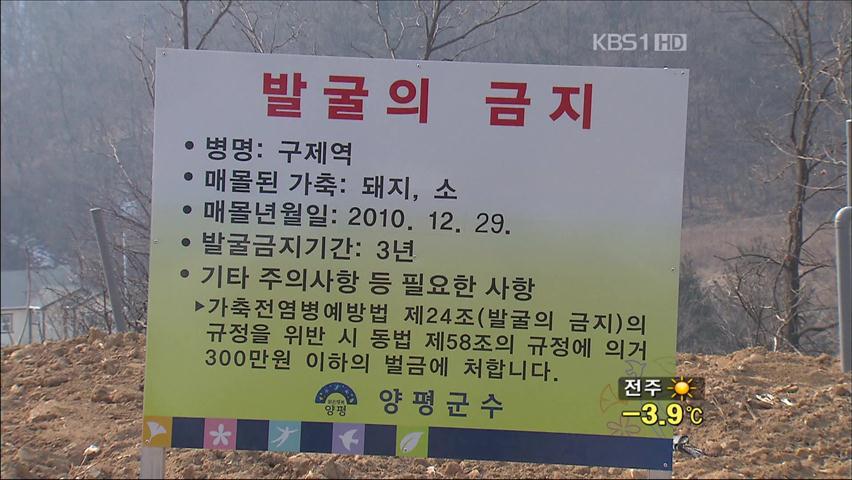 구제역 침출수 ‘공포’…오해와 진실은?