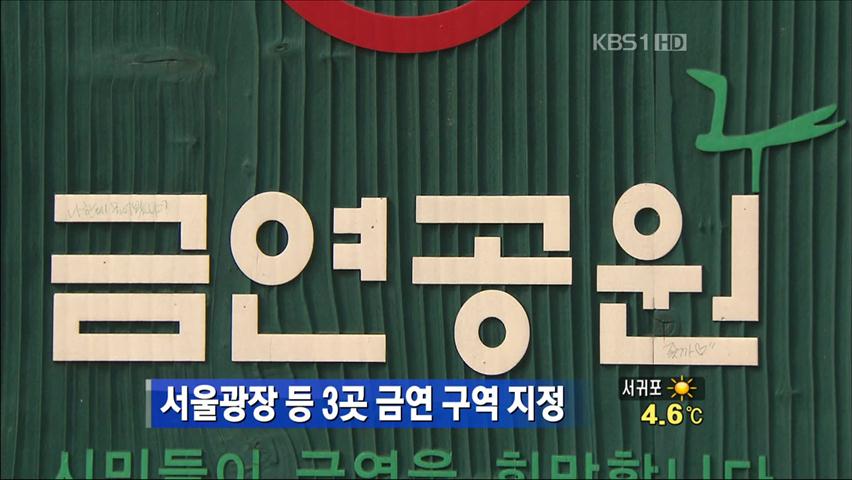 서울광장 등 3곳 금연 구역 지정