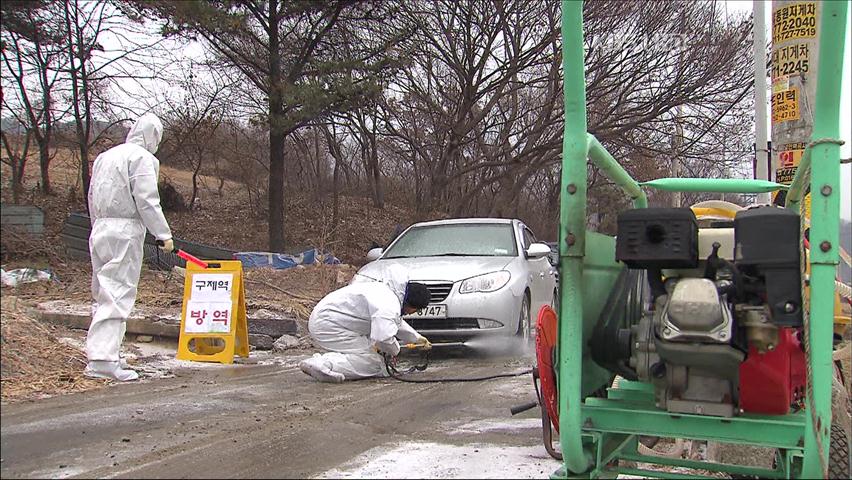 구제역 ‘악몽’ 100일…아물지 않은 상처