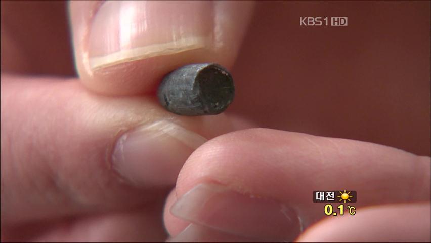 수입 쇠고기에 ‘총알’ 추정 이물질 발견