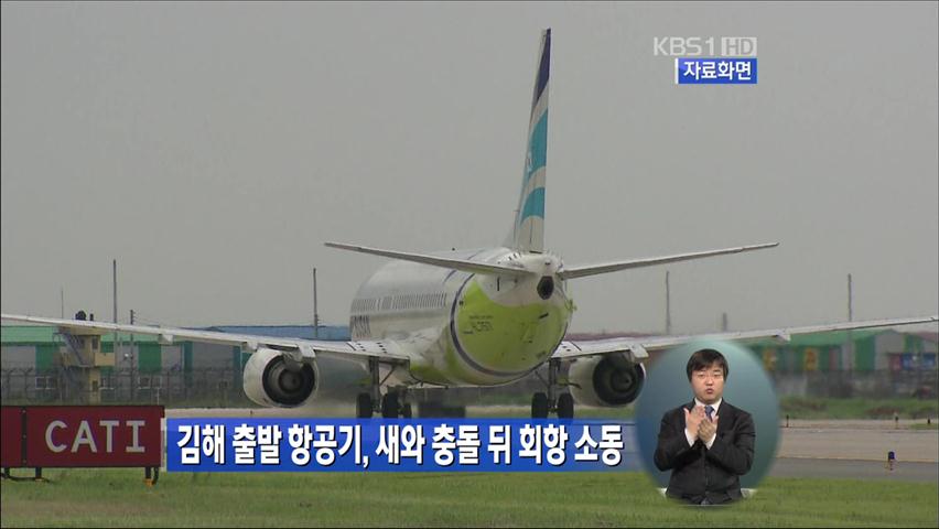 김해 출발 항공기, 새와 충돌 뒤 회항 소동