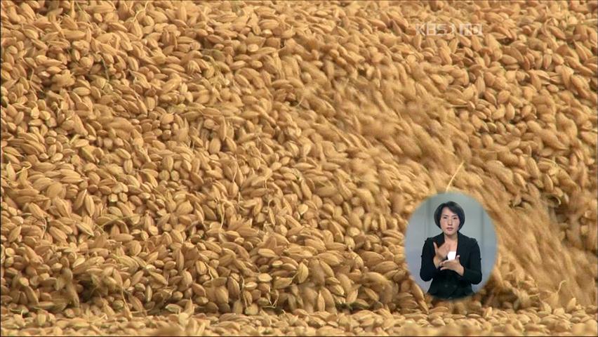 쌀값 안정 위해 쌀 15만 톤 방출 