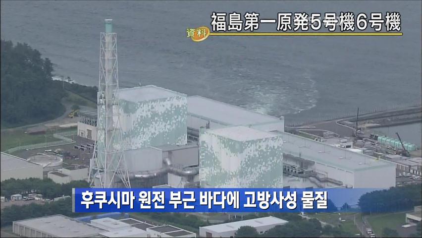 후쿠시마 원전 부근 바다에 고방사성 물질
