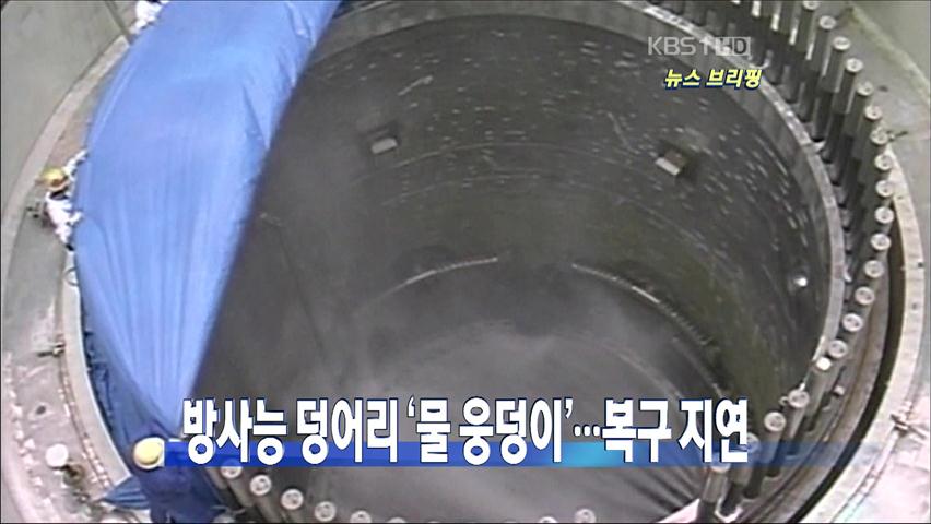 [뉴스 브리핑] 방사능 덩어리 ‘물 웅덩이’…복구지연 外