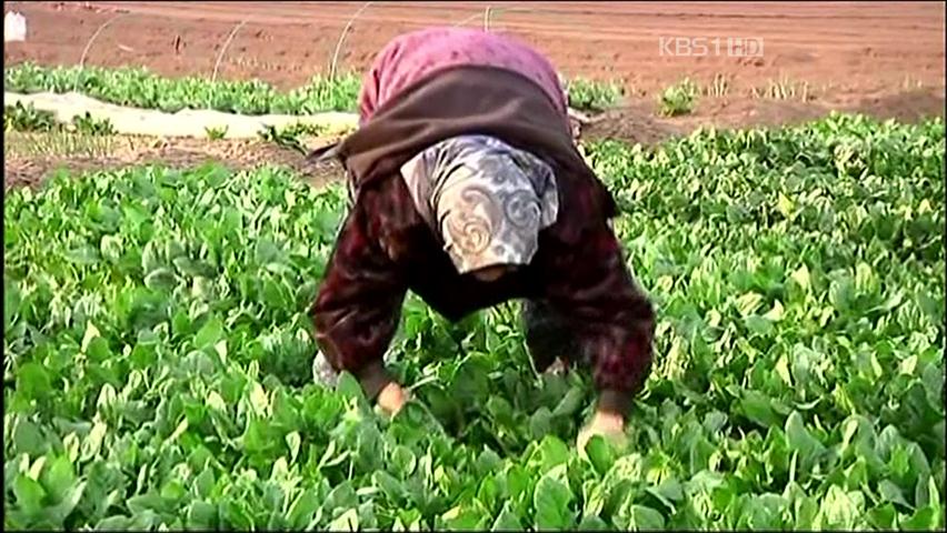 ‘세슘’ 최고치 검출…日 토양 오염 비상