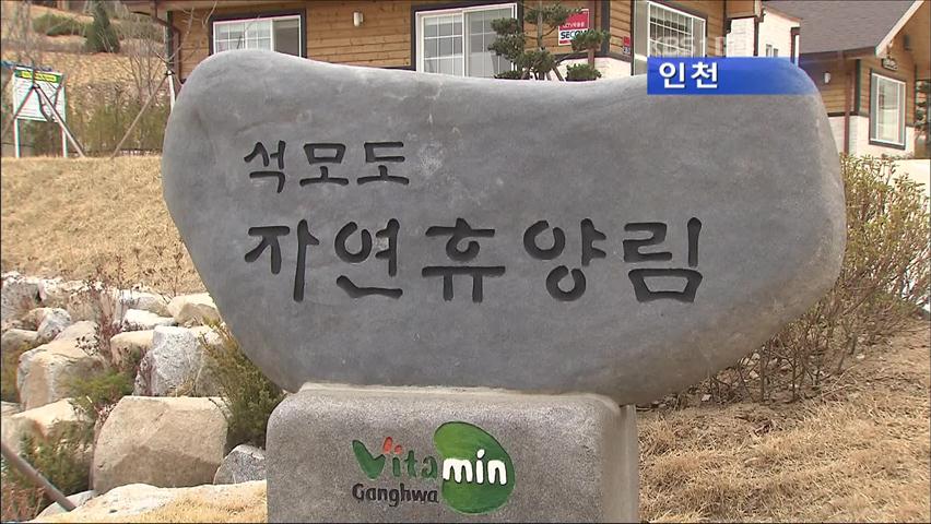 인천, 석모도 자연휴양림 개장