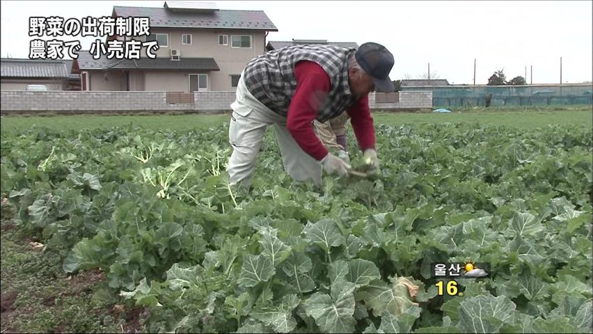 일본 동부산 식품 수입 제한 대폭 강화