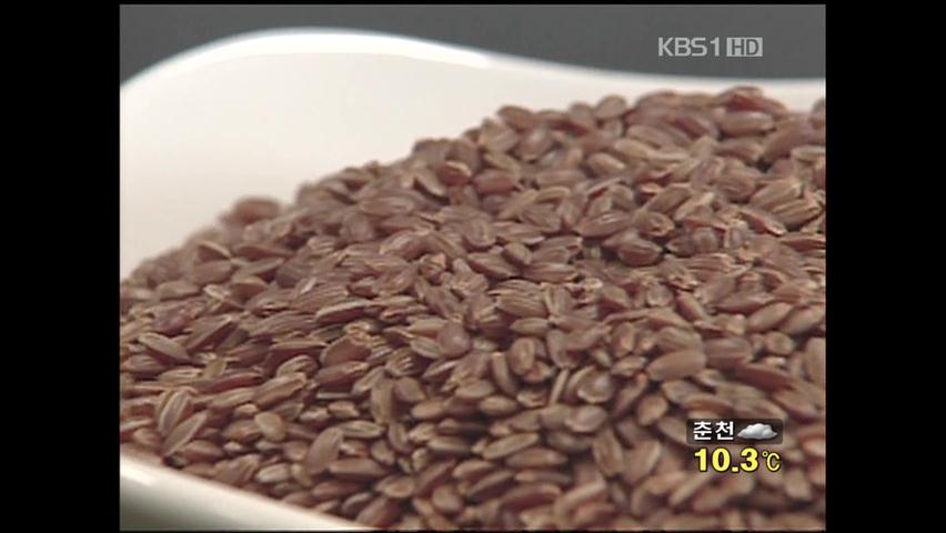 기능성 쌀 ‘건강 홍미’ 첫 선