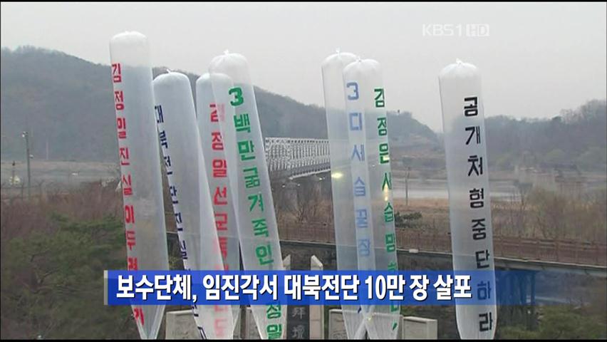 보수단체, 임진각서 대북전단 10만 장 살포