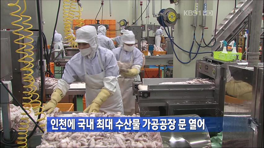인천에 국내 최대 수산물 가공공장 문 열어