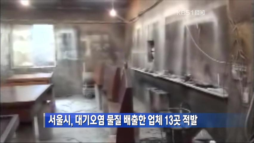 서울시, 대기오염 물질 배출한 업체 13곳 적발