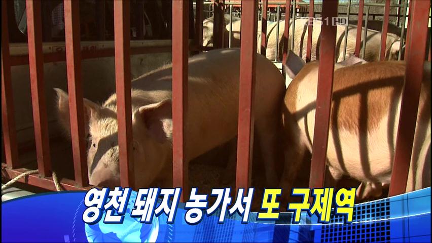 헤드라인