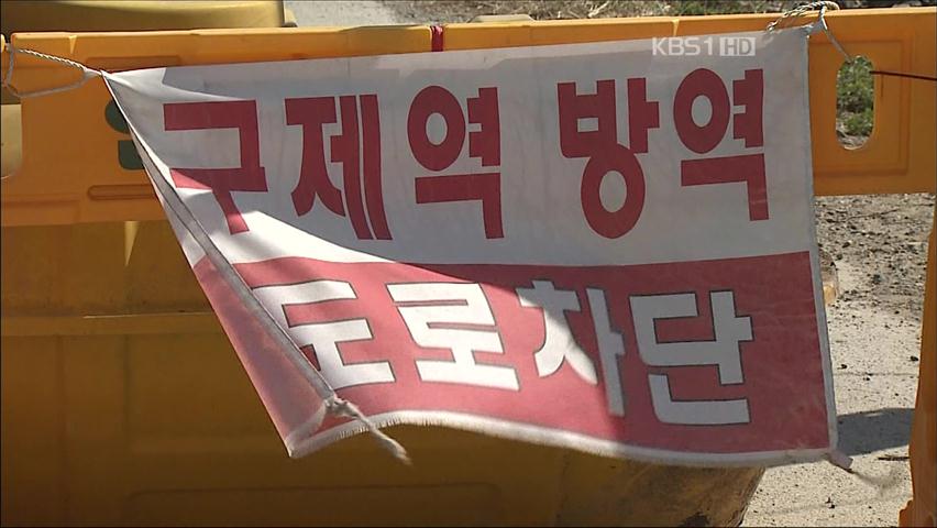 영천 돼지 농가서 또 구제역…축산농가 ‘불안’