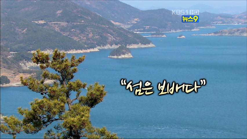 [사람과 세상] 섬 탐험가 20년 “섬은 보배”
