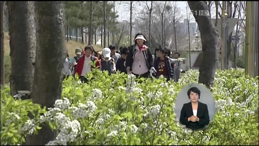 봄철 불청객 ‘꽃가루 알레르기’