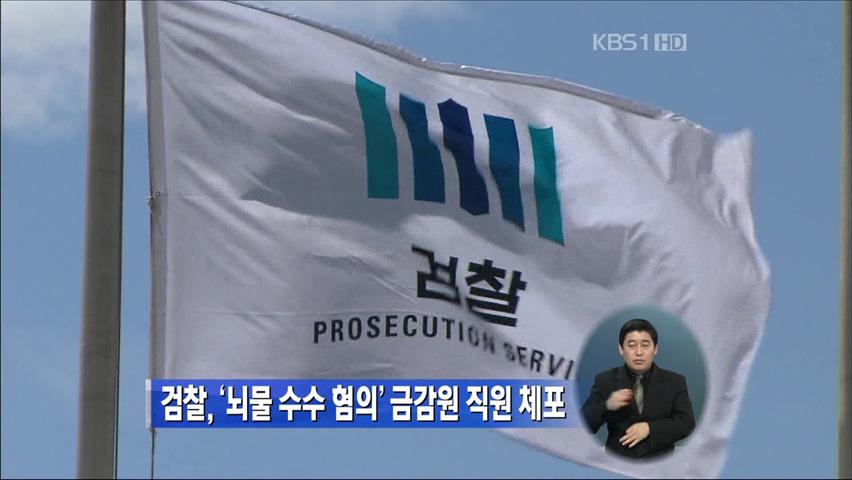 검찰, ‘뇌물 수수 혐의’ 금감원 직원 체포
