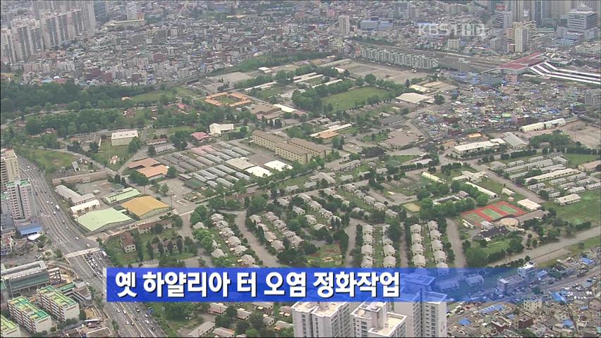 옛 하얄리아 터 오염 정화작업