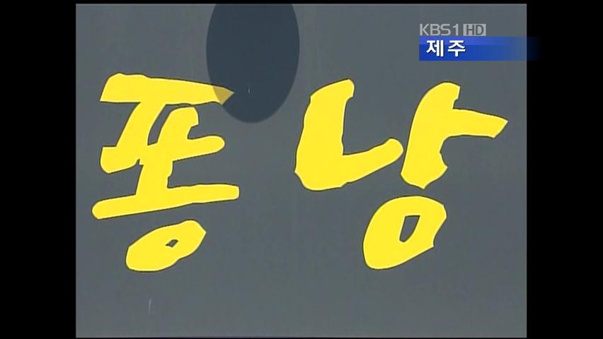 제주어 간판 절반 ‘오기’ 