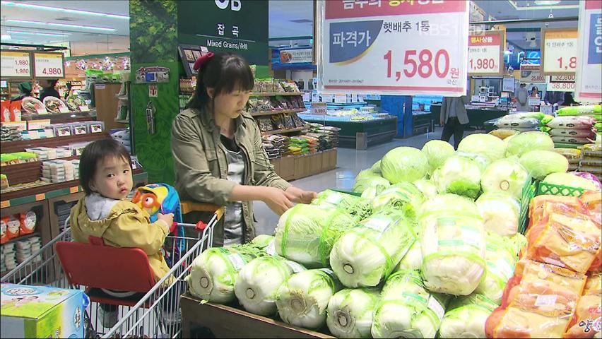 [심층취재] 배추 과잉생산, 이번엔 폭락 걱정