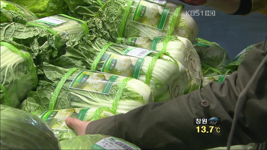 배추값 큰 폭 ‘하락’