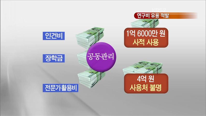 연세대·포항공대 연구비 유용 적발