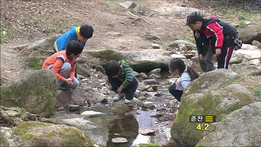 도심 속 천연 자연 ‘서울 백사실 계곡’