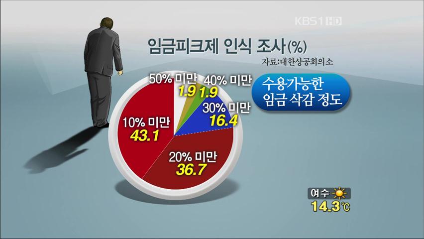 [생생경제] 임금 깎여도 정년 연장 좋아요!