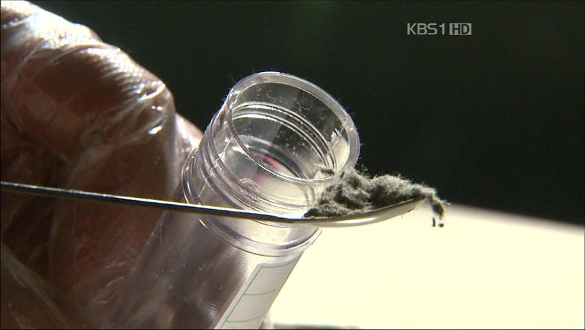 서울시내 학교 실내 88%, 석면 의심