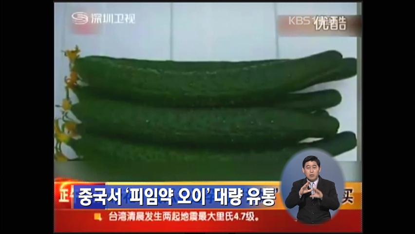 중국서 ‘피임약 오이’ 대량 유통