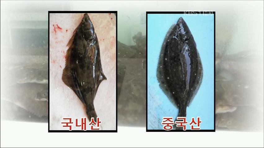 중국산 도다리, 국내산 둔갑 무더기 적발