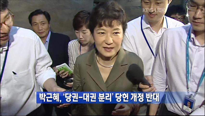 박근혜, ‘당권-대권 분리’ 당헌 개정 반대