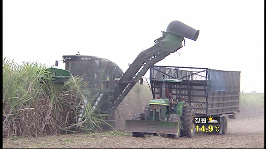 태국 가뭄…사탕수수 농장 ‘물 확보’ 비상
