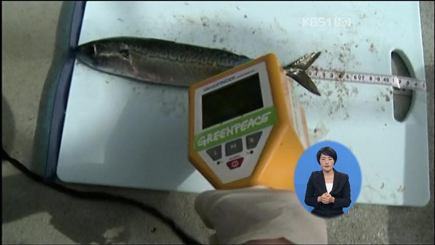 후쿠시마 바다 수산물 11종 방사성 오염