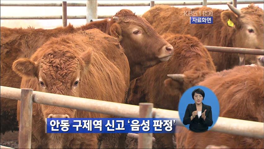 안동 구제역 신고 ‘음성 판정’