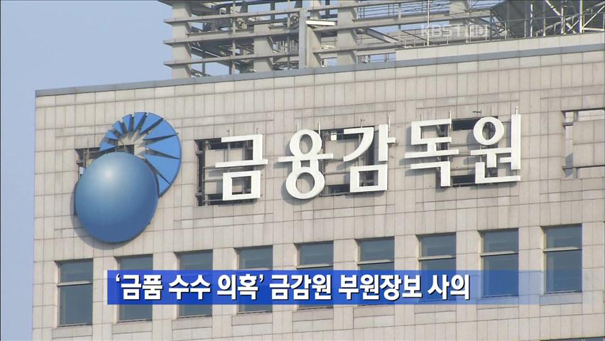 ‘금품 수수 의혹’ 금감원 부원장보 사의