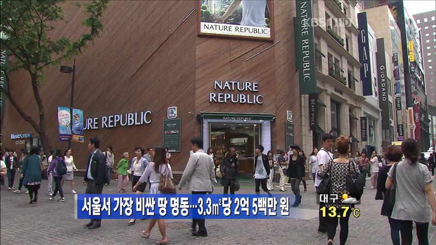 서울서 가장 비싼 땅 명동…3.3㎡당 2억 5백만 원