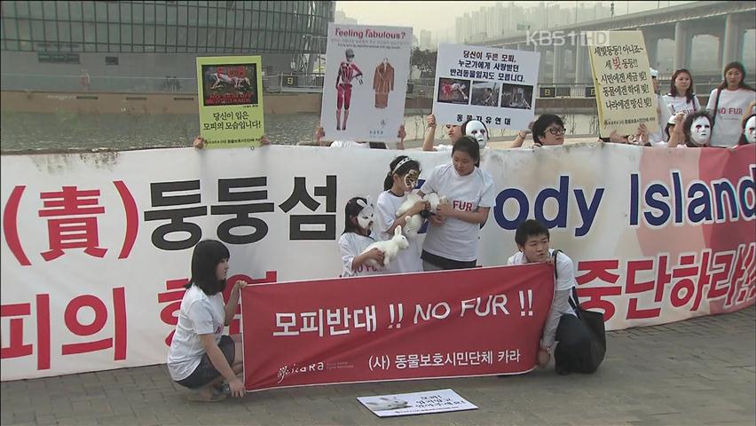 ‘세빛둥둥섬’ 논란 속 고급 모피 패션쇼 강행