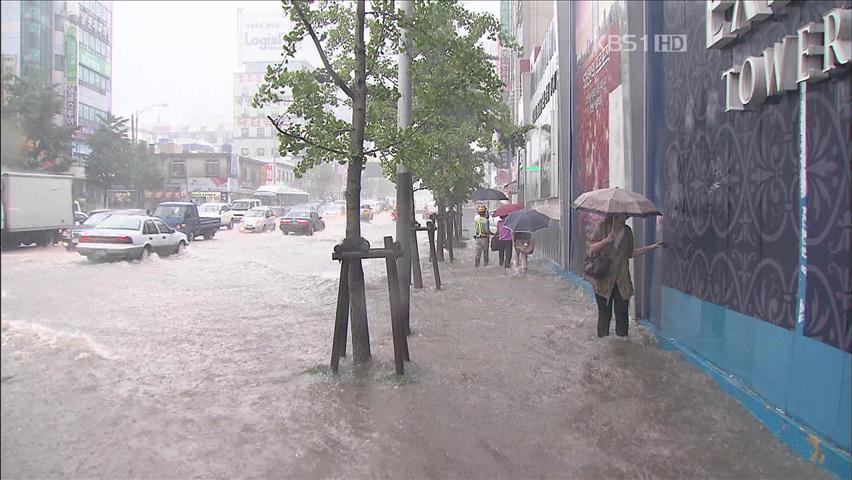 장마 10일 일찍 시작…모레 제주부터 장맛비