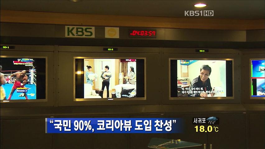 “국민 90%, 코리아뷰 도입 찬성”